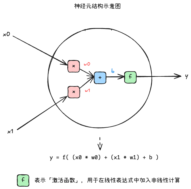 神经元的基本结构